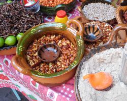 Mexické pochoutky, archiv Enjoy Travel