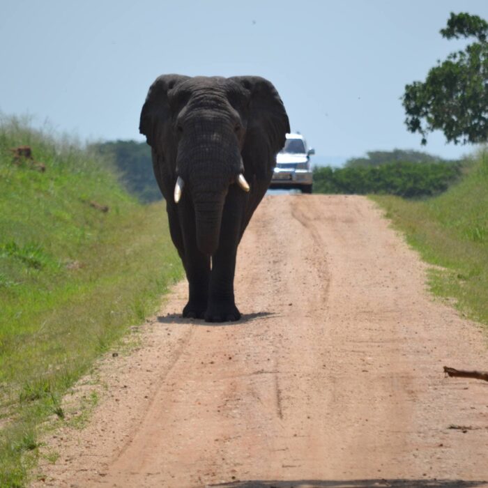 Na cestě, Uganda, archiv Enjoy Travel