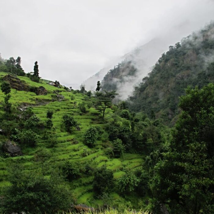Nepal_Manaslu_13