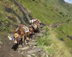 oblast Manaslu, Nepál, archiv Enjoy Travel