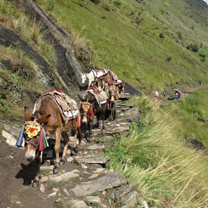 Nepal_Manaslu_10