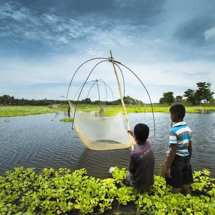 Fishing 409138 1920