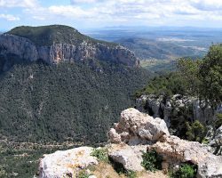 Mallorca, autor Lenka Skrbková