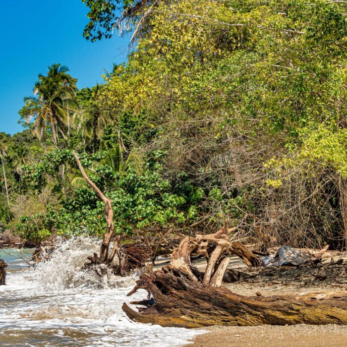 Cahuita, Kostarika