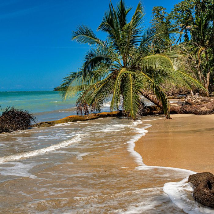 AKČNÍ LETENKY DO SVĚTA