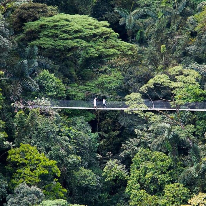 hanging bridges Arenal, Kostarika
