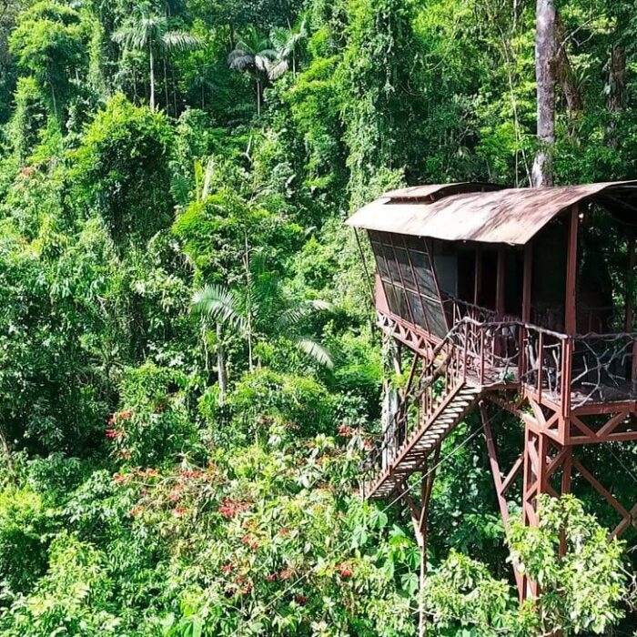 Maquenque Treehouse, Kostarika