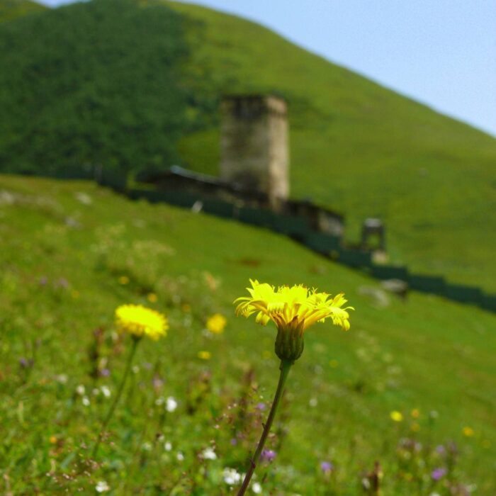 Gruzie A Armenie 123
