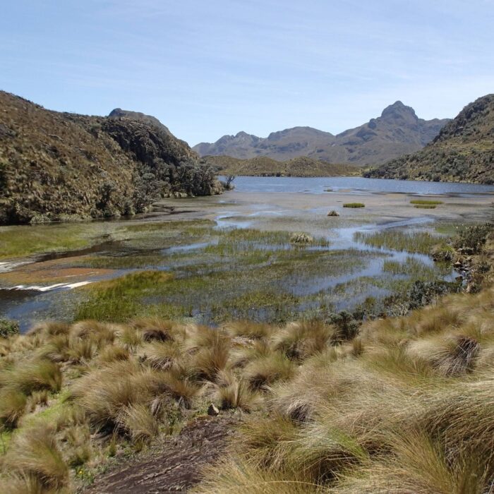 Cajas, Ekvádor, archiv CK Enjoy Travel
