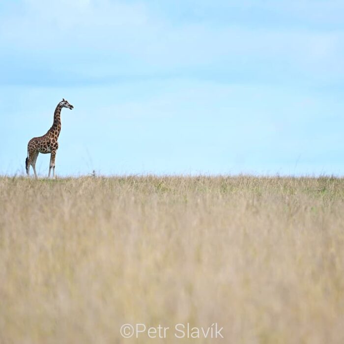 Fotoexpedice s Petrem Slavíkem