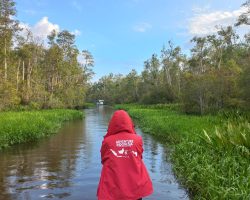 Na lodi džunglí, Indonésie, archiv Enjoy Travel