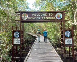 NP Tanjung Puting, Indonésie, archiv Enjoy Travel
