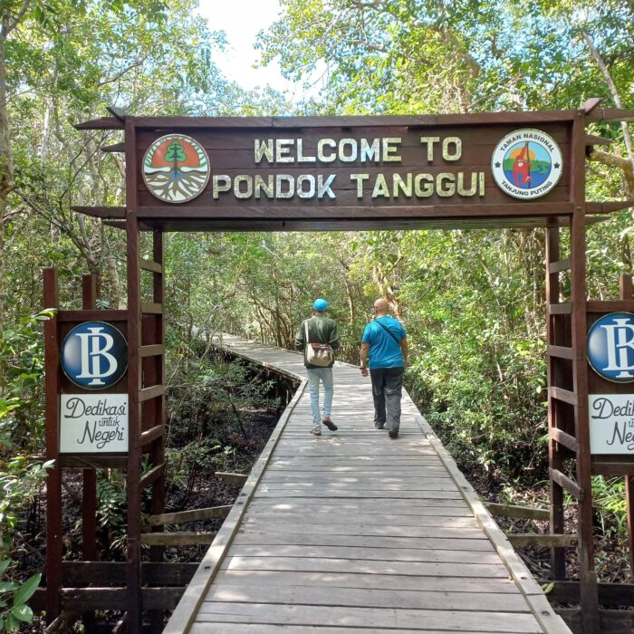 NP Tanjung Puting
