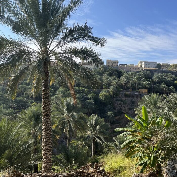 Misfat Al-Abrín