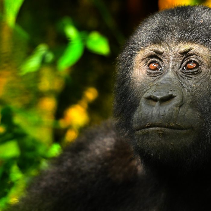 Enjoy Travel - Uganda – perla Afriky s fotografem Petrem Slavíkem