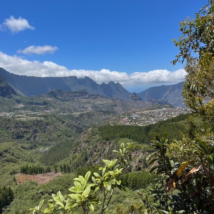Réunion, autor Irena Koubíková