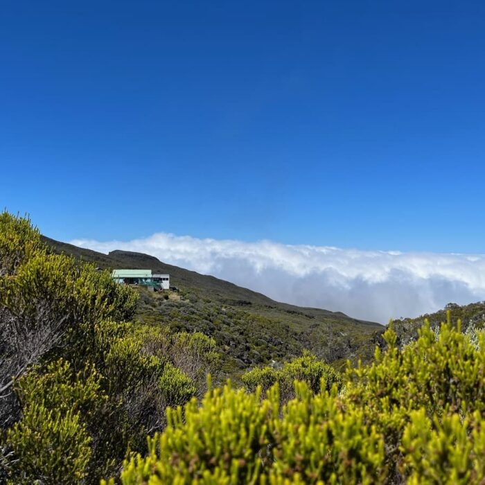 Réunion, autor Irena Koubíková