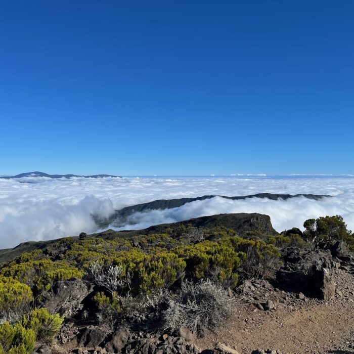 Réunion, autor Irena Koubíková