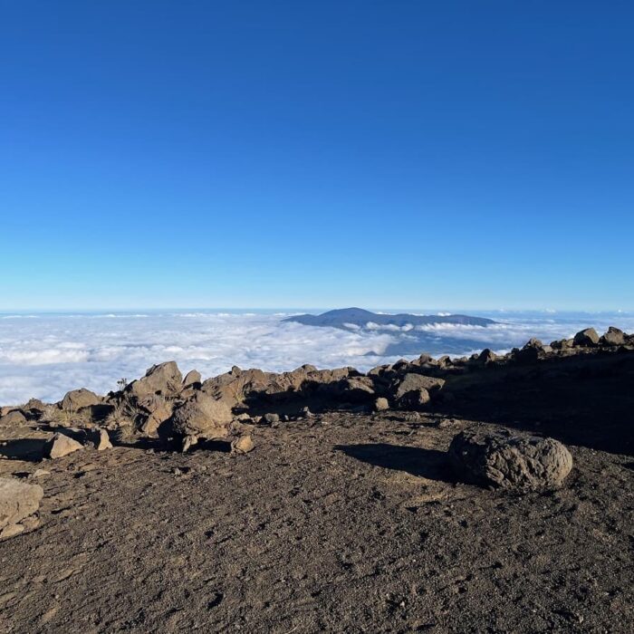 Réunion, autor Irena Koubíková