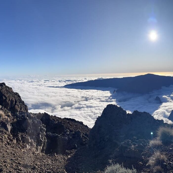 Réunion, autor Irena Koubíková