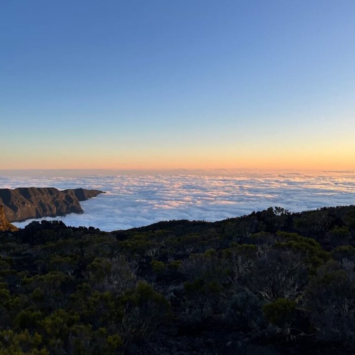 Réunion, autor Irena Koubíková