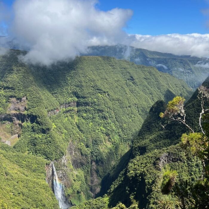 Réunion, autor Irena Koubíková