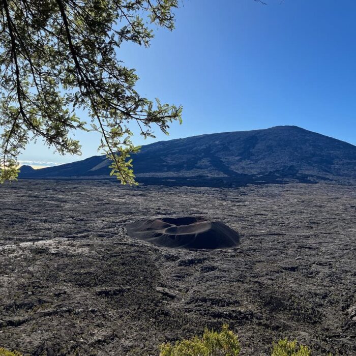 Réunion, autor Irena Koubíková