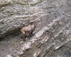 Itálie - Dolomity, autor Lenka Skrbková 