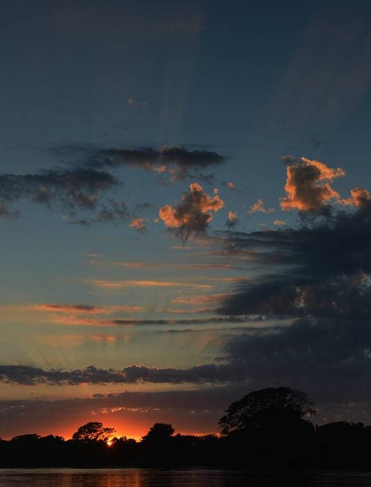 Pantanal002